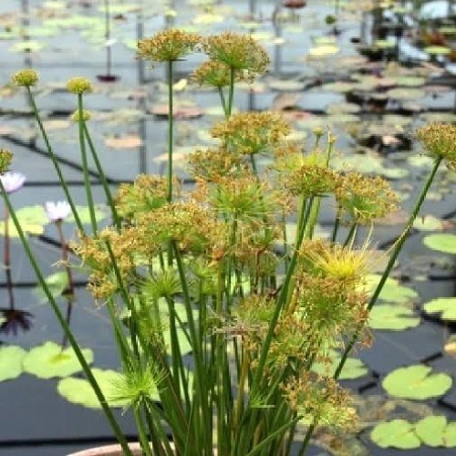 PHOTO-2025-11-24-11-19-45